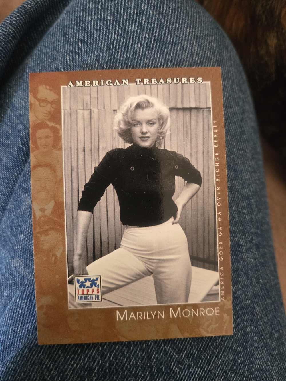 Marilyn Monroe Trading Card - Brown, Black, White